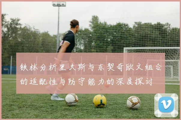 铁林分析里夫斯与东契奇欧文组合的适配性与防守能力的深度探讨
